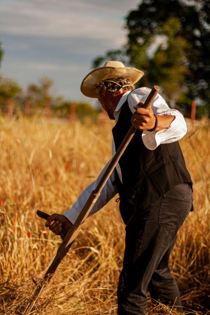 A farmer in a wheat field using traditional tools, wearing a hat, during sunset.